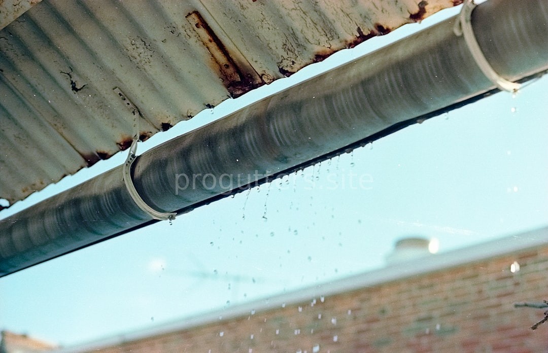 Gutter Maintenance