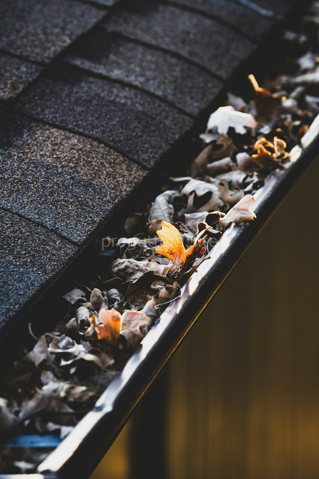Clean Gutters Detail